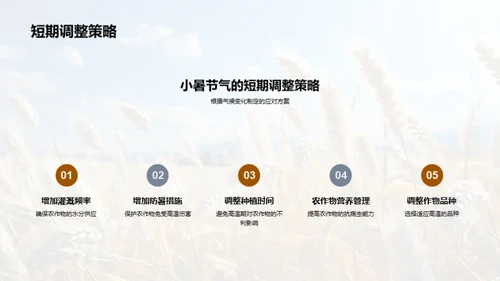 小暑节气与农业指南