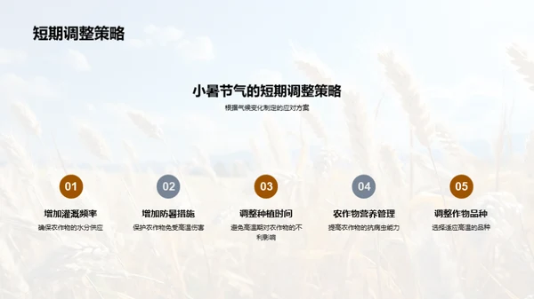 小暑节气与农业指南