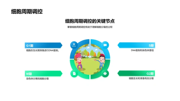 细胞结构功能教学PPT模板