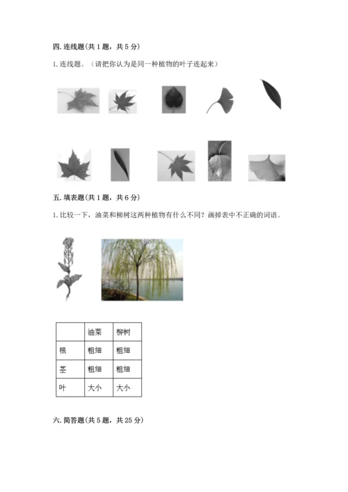 教科版一年级上册科学期末测试卷精品【典型题】.docx