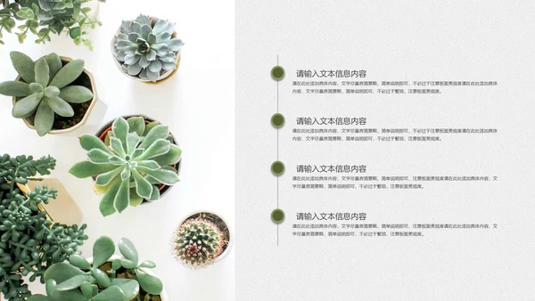小清新绿植木纹教学PPT模板