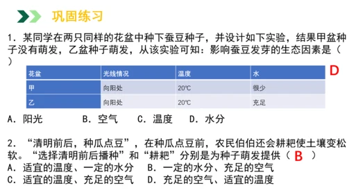 3.2.1 种子的萌发 2023-2024学年七年级生物上册精品教学课件（人教版）(共19张PPT)