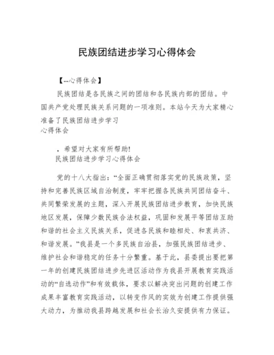 民族团结进步学习心得体会.docx