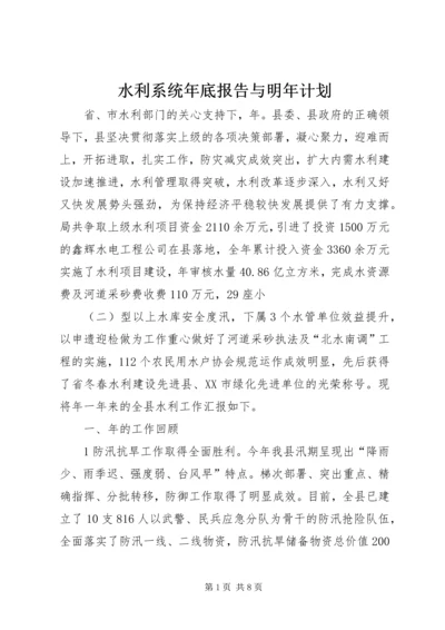 水利系统年底报告与明年计划.docx