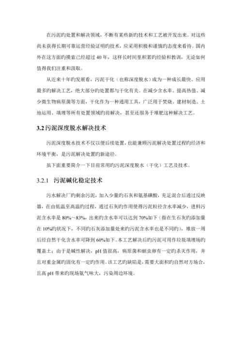 t污泥板框脱水专题方案.docx