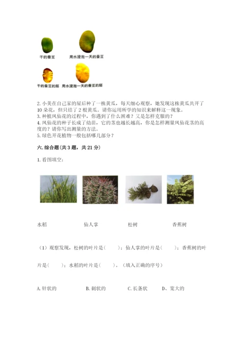 科学四年级下册第一单元植物的生长变化测试卷（能力提升）.docx