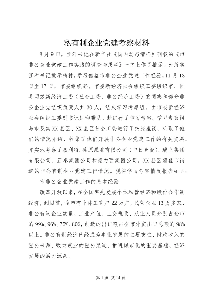 私有制企业党建考察材料.docx