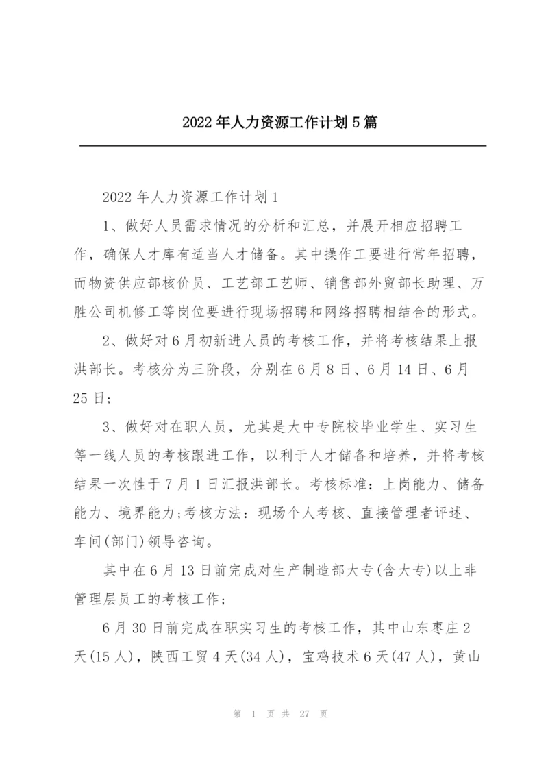 2022年人力资源工作计划5篇.docx