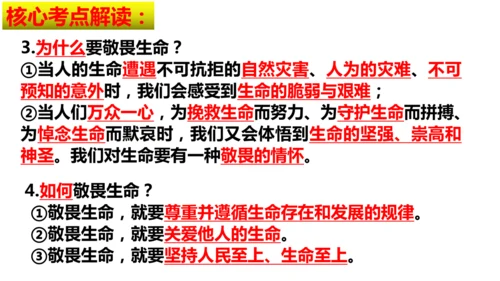 第三单元 珍爱我们的生命【核心考点复习课件】(共24张PPT)