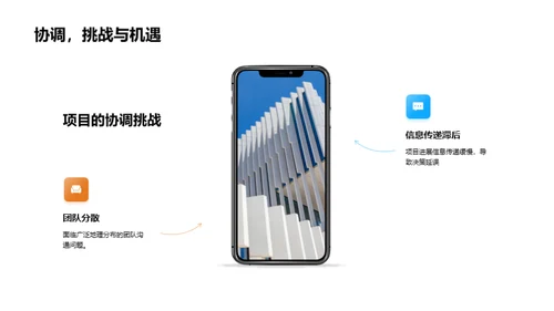 项目进展与未来规划