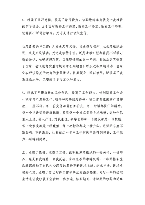 财务处挂职锻炼工作总结