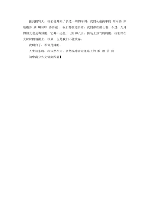 初中满分作文锦集四篇.docx