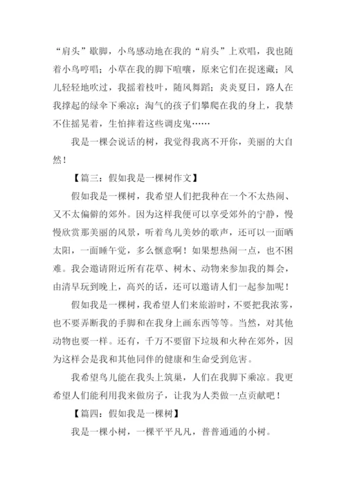 假如我是一棵树作文300字.docx