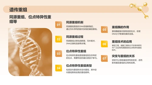 橙色3D风分子生物学PPT模板