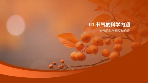 秋分科学：亲子共学