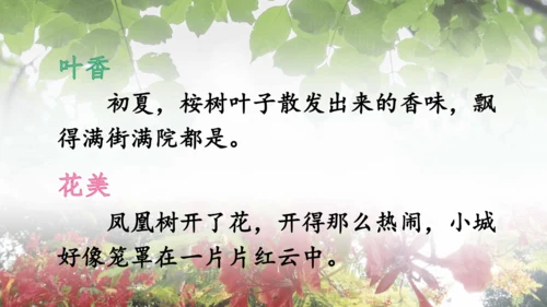 19.《海滨小城》课件