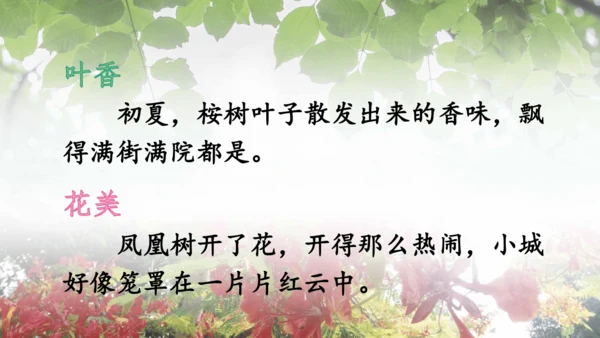 19.《海滨小城》课件