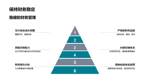 财务策略解析与规划