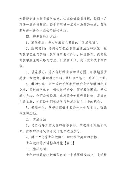 青年教师培养目标和措施（通用9篇）.docx