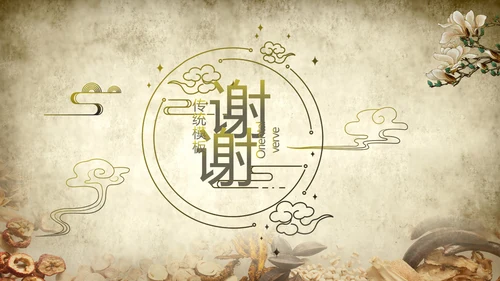 中医文化工作总结汇报计划动态PPT模板