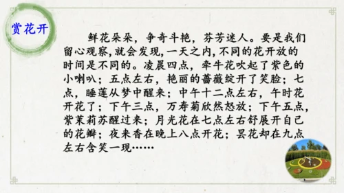 13《花钟》（课件）