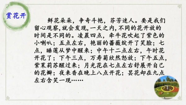 13《花钟》（课件）