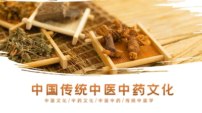 中医中药中国风简约风格PPT模板