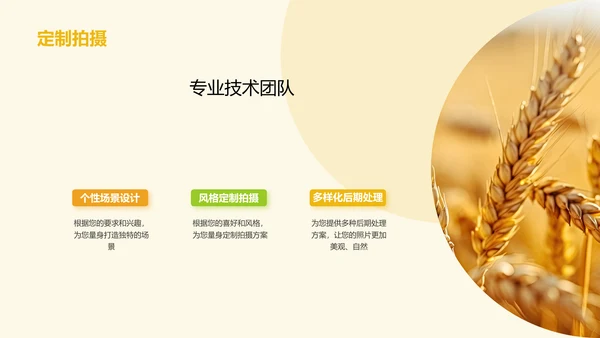 黄色简约婚纱摄影策划PPT模板