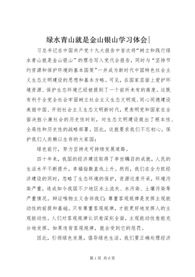 绿水青山就是金山银山学习体会-.docx