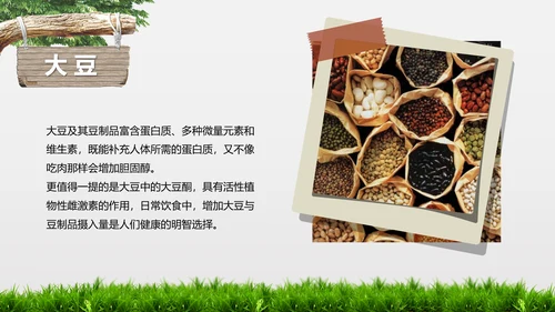 食品安全营养学饮食科普PPT模板