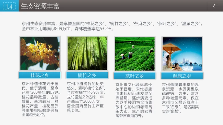 商业融资投资指南PPT模板