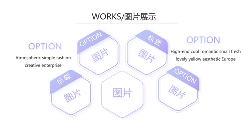 简约时尚大气公司产品介绍宣传PPT