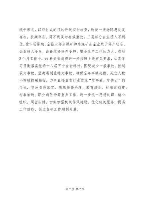 乡镇安监局年度工作总结.docx