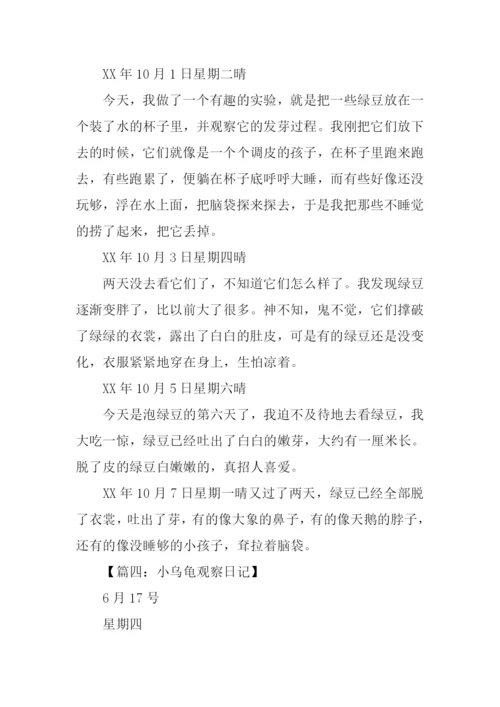 小学四年级观察作文.docx