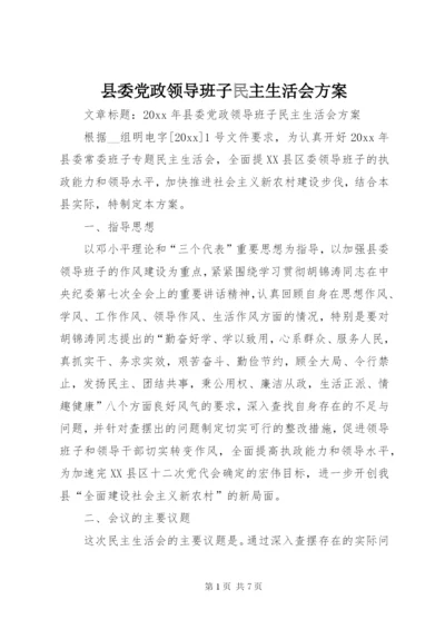 县委党政领导班子民主生活会方案.docx