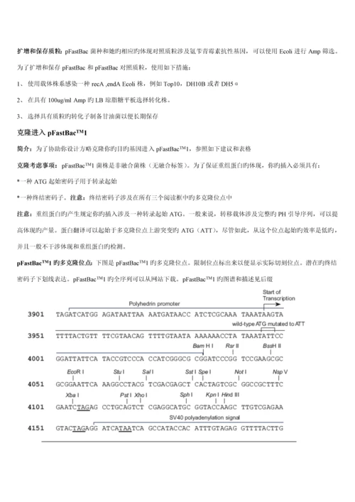 Bactobac表达系统中文版专项说明书.docx