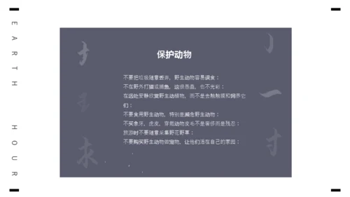 保护地球1小时全球视野通用PPT模板