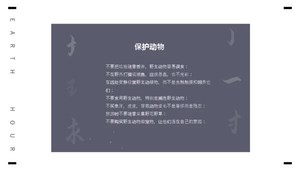 保护地球1小时全球视野通用PPT模板