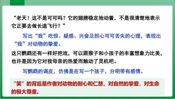 17.动物笑谈（课件）【2023秋人教七上语文高效实用备课】(共33张PPT)