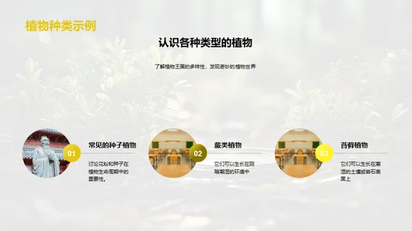 植物王国探秘