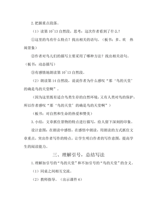 23 鸟的天堂 教案
