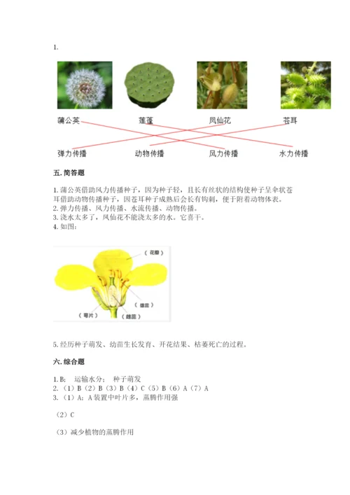 科学四年级下册第一单元植物的生长变化测试卷含答案（培优b卷）.docx