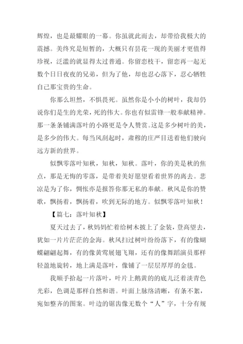 落叶知秋作文-1.docx