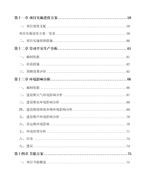 碳纤维产品项目可行性研究报告