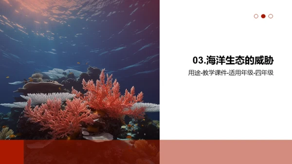 海洋生态，我们的责任