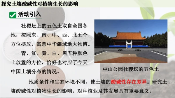 跨学科实践活动9  探究土壤酸碱性对植物生长的影响课件(共33张PPT)