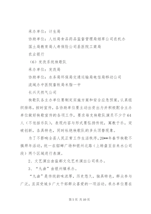 某县春节文化娱乐活动方案.docx