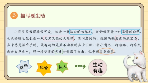 统编版语文四年级下册2024-2025学年度第四单元习作：我的动物朋友（课件）