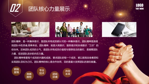 唯美2016年商务工作总结述职报告PPT