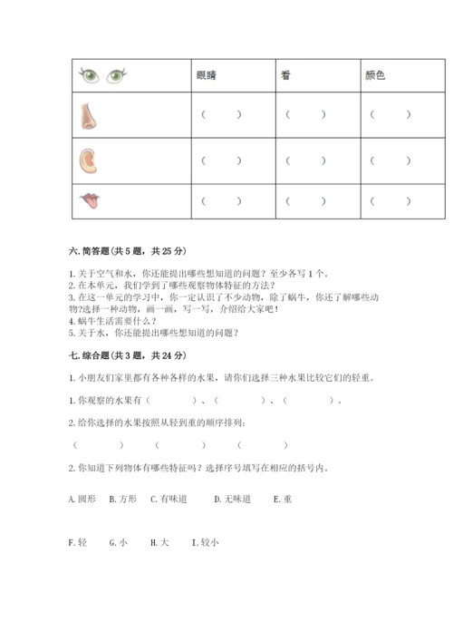 教科版小学科学一年级下册期末测试卷附答案（预热题）.docx